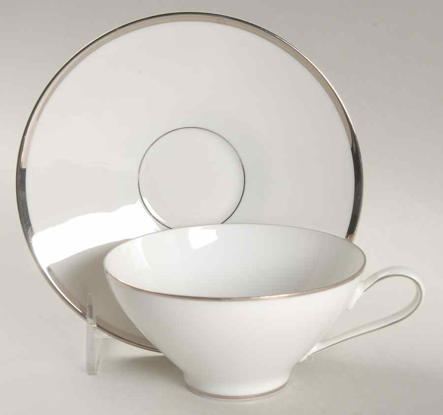 Platinum Band (Bettina Shape) Flat Cup & Saucer Set by Rosenthal - Continental-1