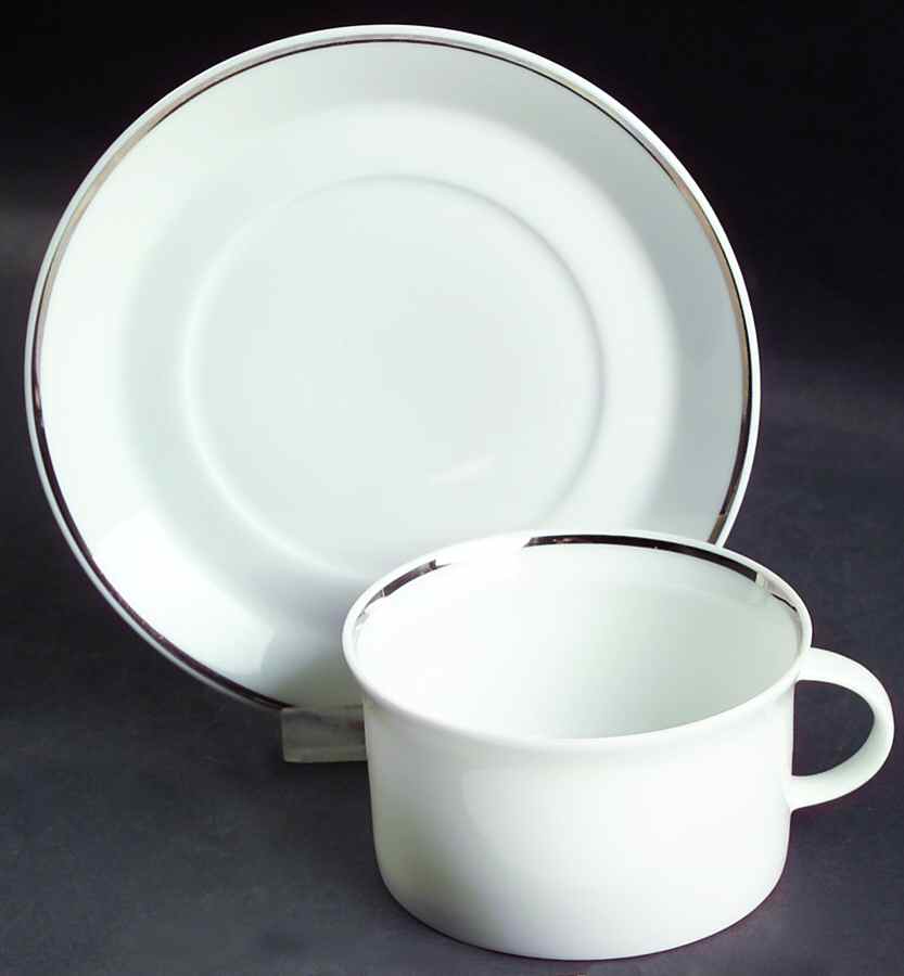 Platinum Band Linear Shape Flat Cup & Saucer Set by Rosenthal - Continental-1