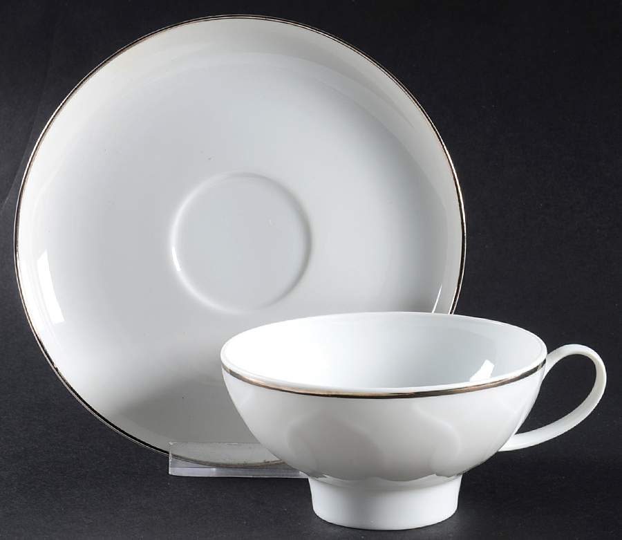 Platinum Band (Lotus Shape) Flat Cup & Saucer Set by Rosenthal - Continental-1