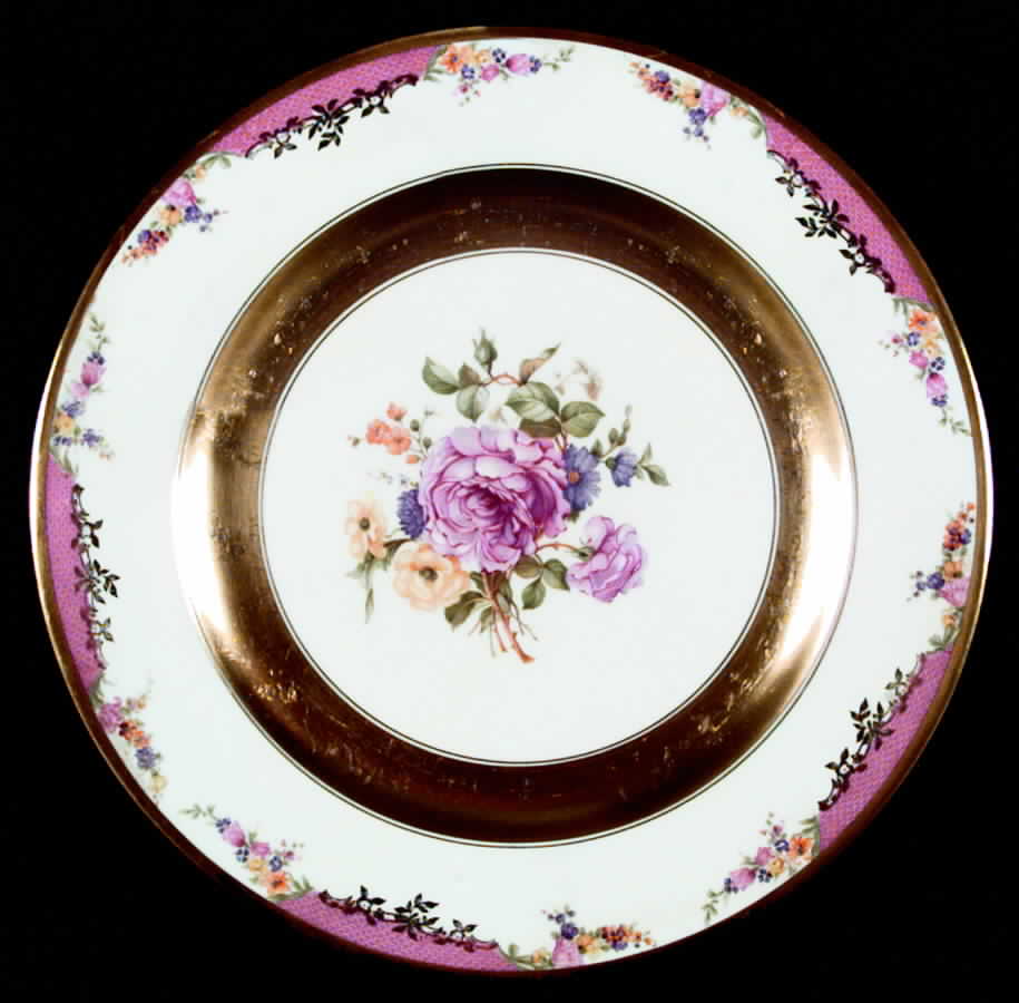 Queen's Rose (Wide Gold Inner Band) Dinner Plate by Rosenthal - Continental-1