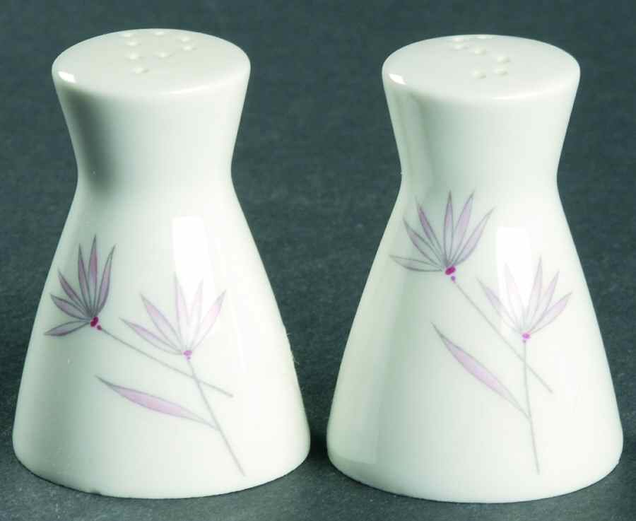 3722 Salt & Pepper Set by Rosenthal - Continental-1