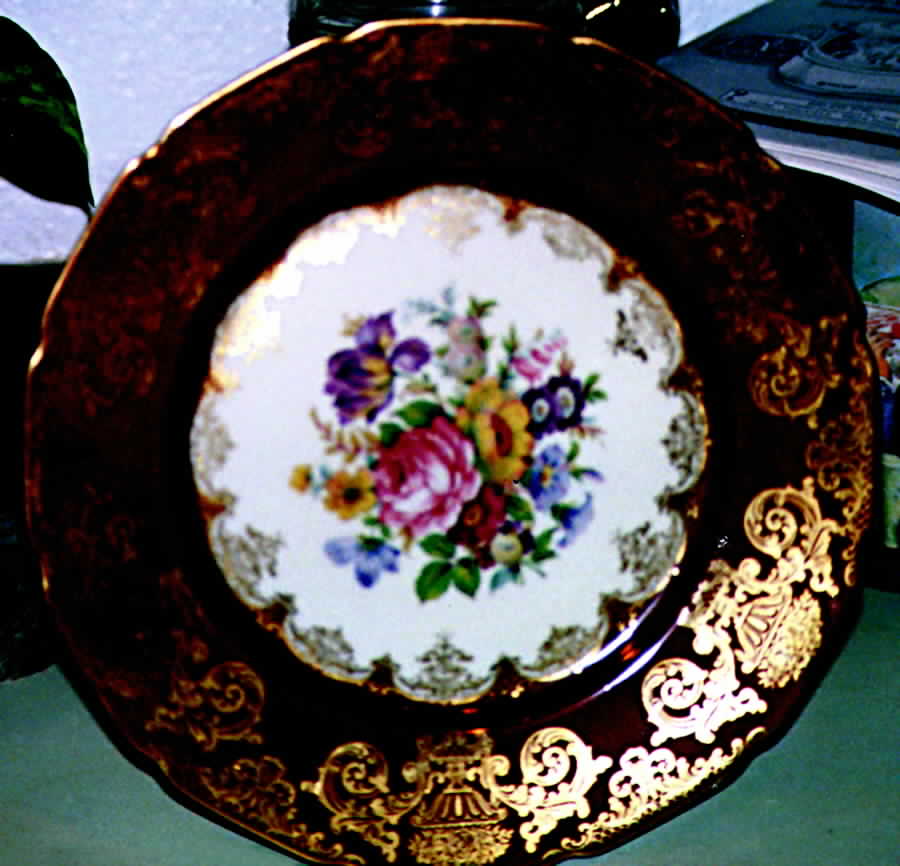 R114 Dinner Plate by Rosenthal - Continental-1