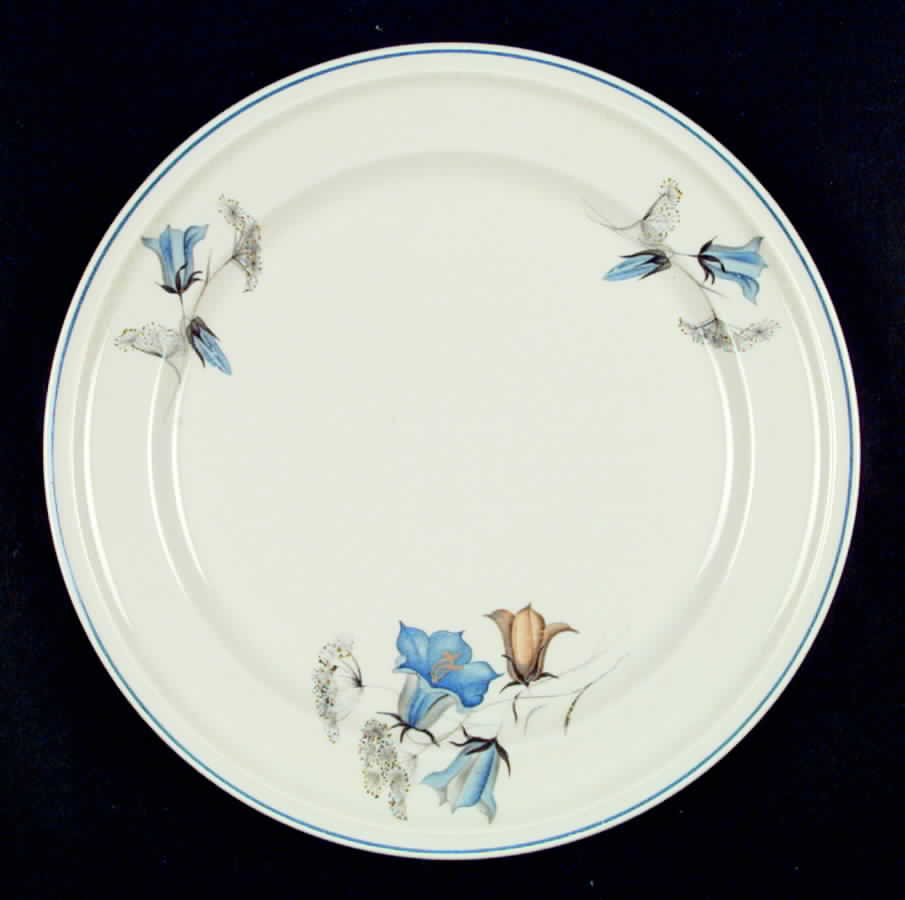 R133 Dinner Plate by Rosenthal - Continental-1