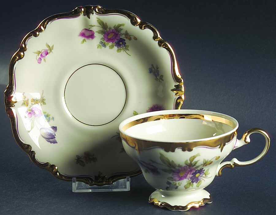 R14 (Pompadour Shape) Footed Cup & Saucer Set by Rosenthal - Continental-1