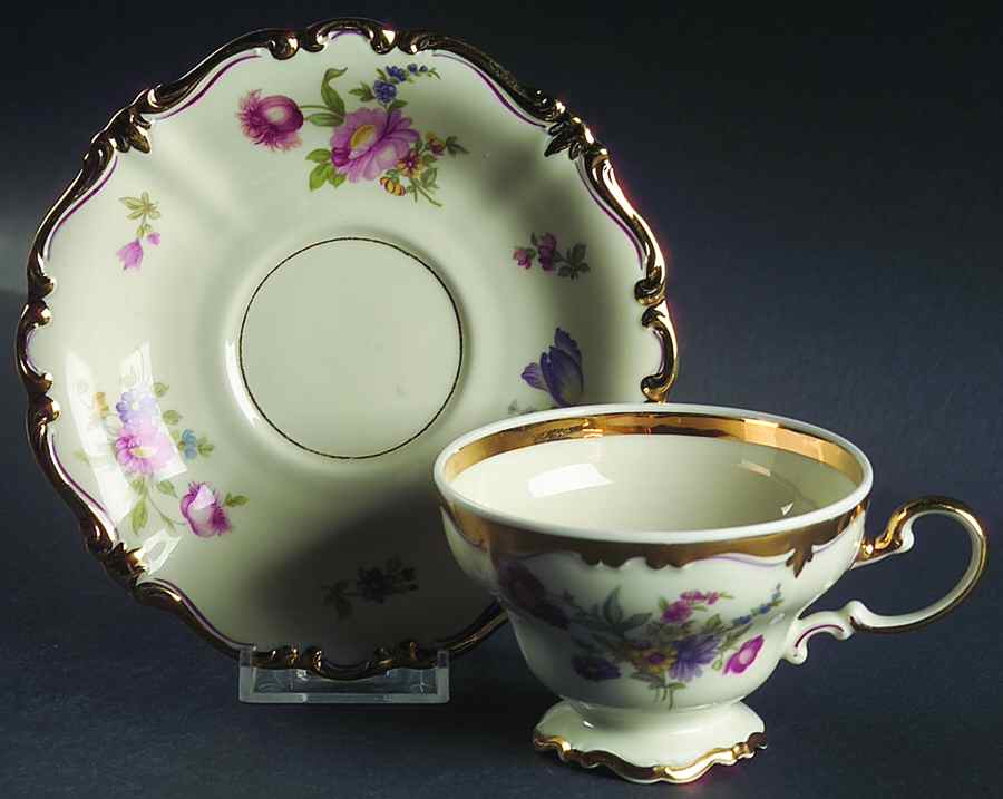 R14 (Pompadour Shape) Footed Cup & Saucer Set by Rosenthal - Continental-1
