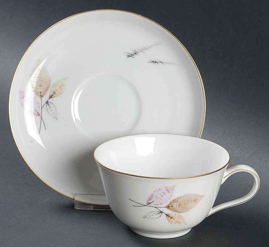 Florence Footed Cup & Saucer Set by Rosenthal - Continental-1