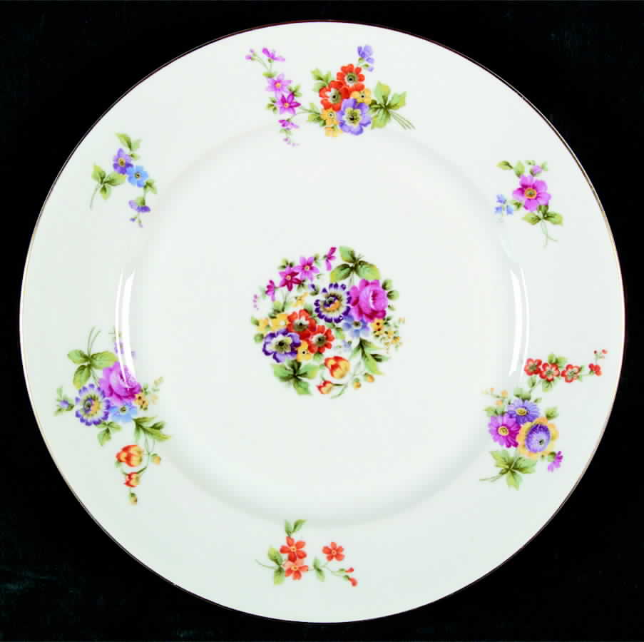 R155 Dinner Plate by Rosenthal - Continental-1
