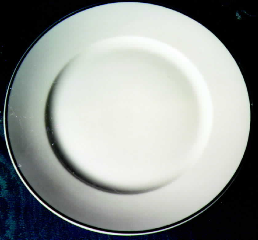 R159 Dinner Plate by Rosenthal - Continental-1