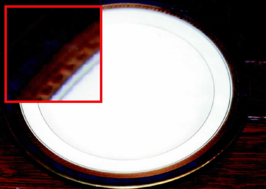 R160 Dinner Plate by Rosenthal - Continental-1