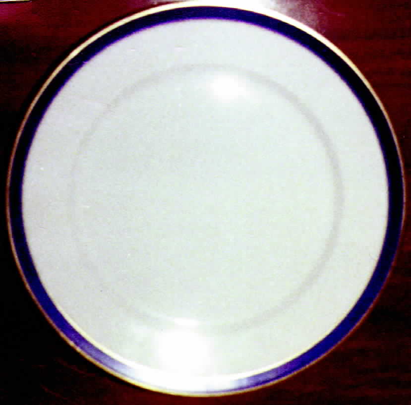 R162 Dinner Plate by Rosenthal - Continental-1