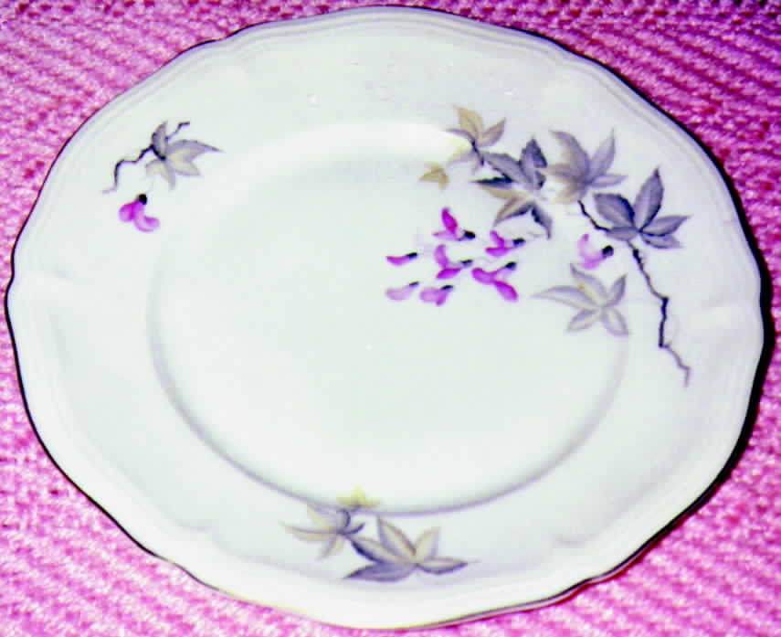 R169 Dinner Plate by Rosenthal - Continental-1