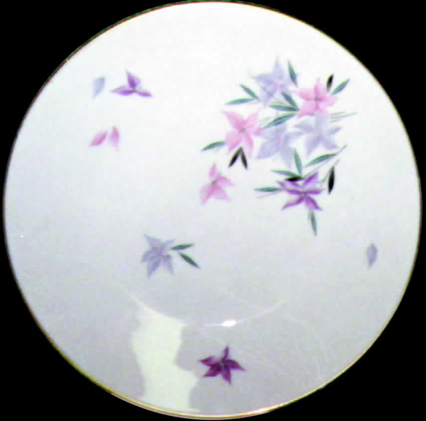 R174 Large Dinner Plate by Rosenthal - Continental-1