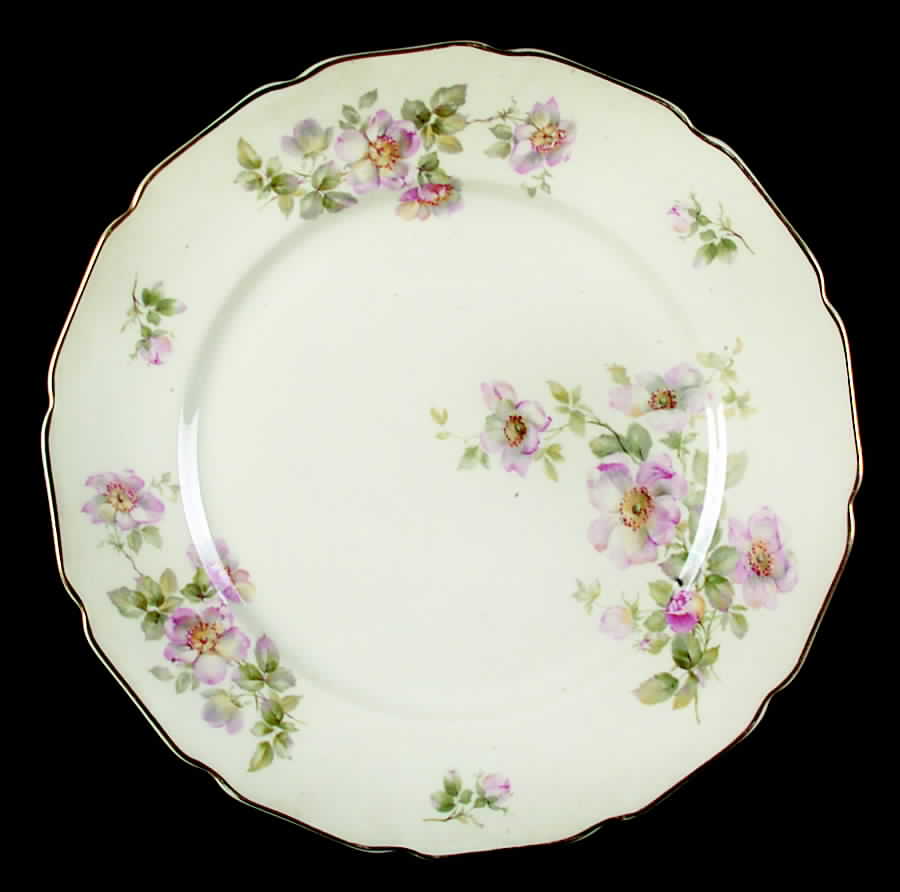 R176 Dinner Plate by Rosenthal - Continental-1