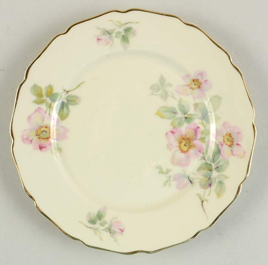 R176 Bread & Butter Plate by Rosenthal - Continental-1