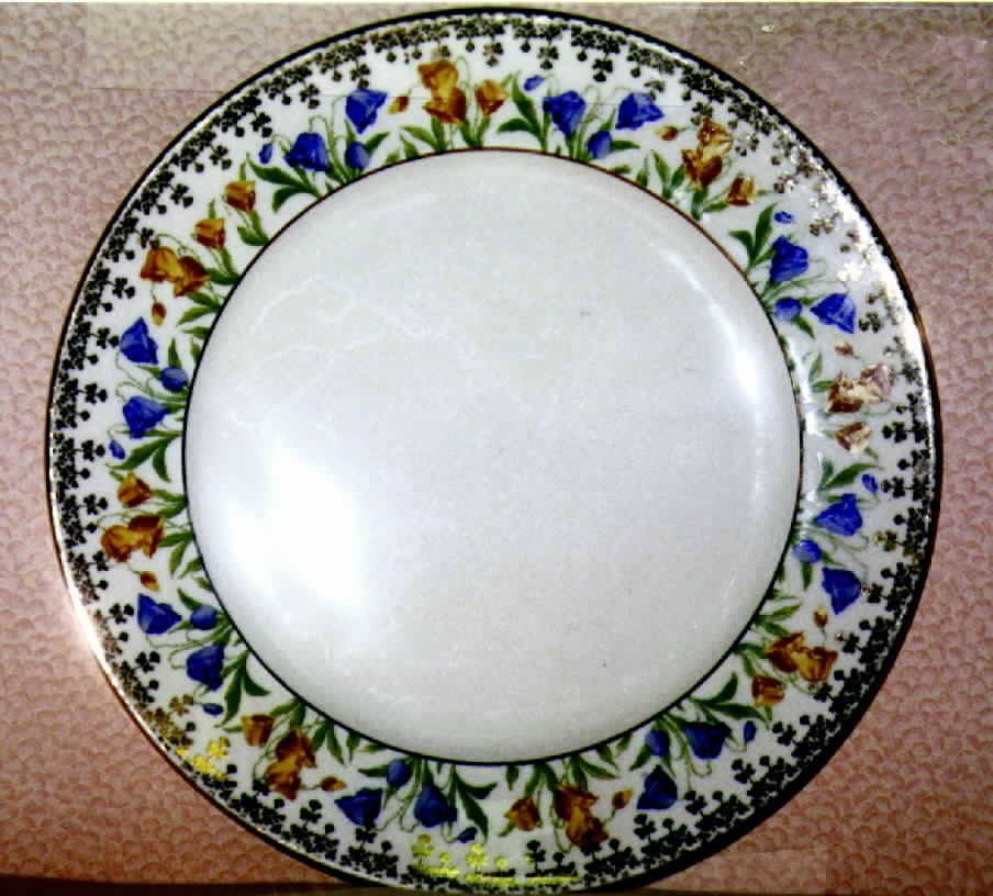 R188 Dinner Plate by Rosenthal - Continental-1