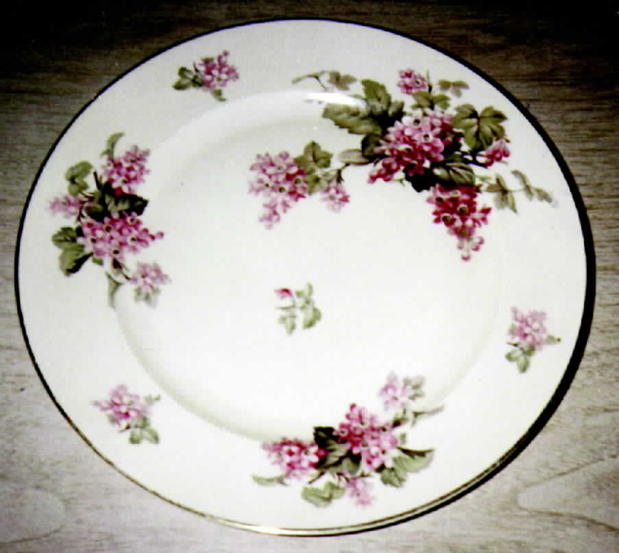 R190 Dinner Plate by Rosenthal - Continental-1