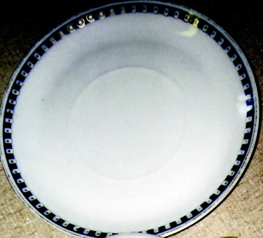 R195 Saucer by Rosenthal - Continental-1