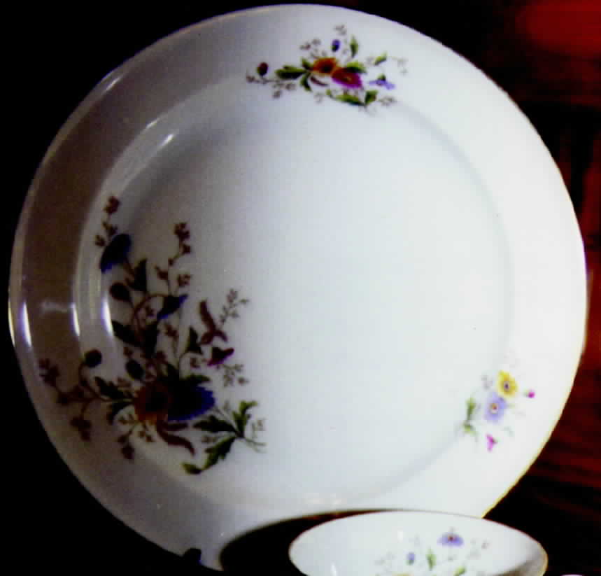 R198 Dinner Plate by Rosenthal - Continental-1
