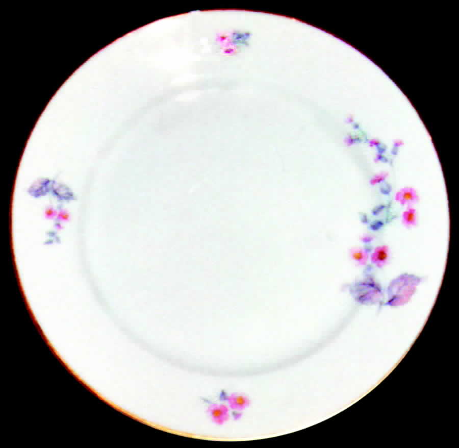 R212 Dinner Plate by Rosenthal - Continental-1