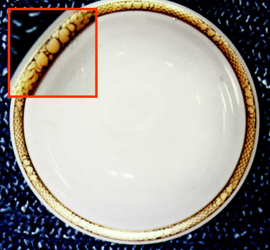 R217 Dinner Plate by Rosenthal - Continental-1