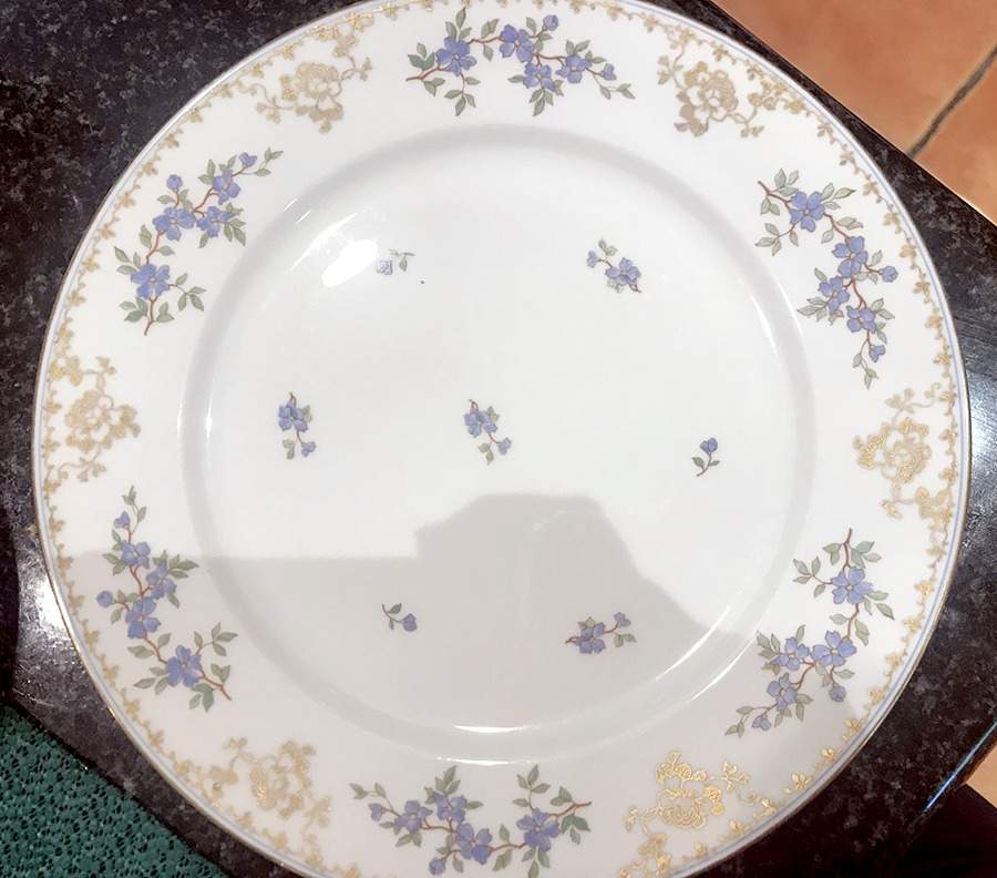 R218 Dinner Plate by Rosenthal - Continental-1