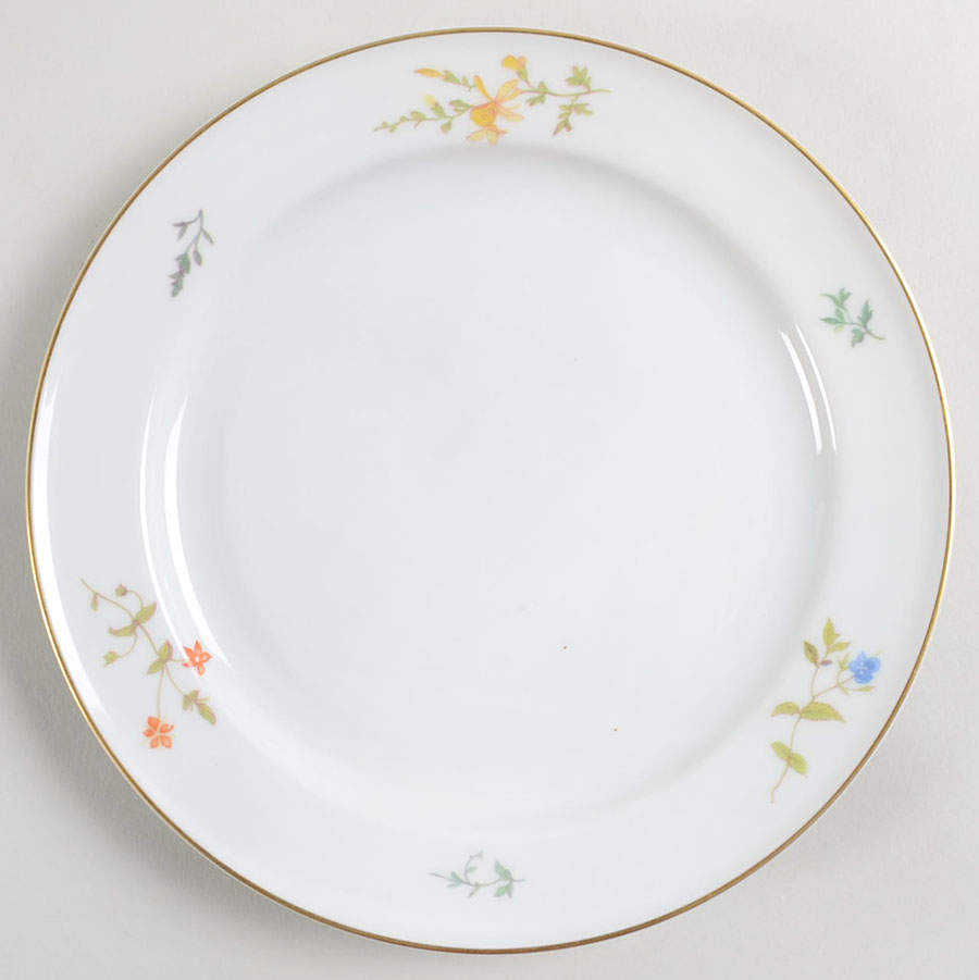 R221 Salad Plate by Rosenthal - Continental-1