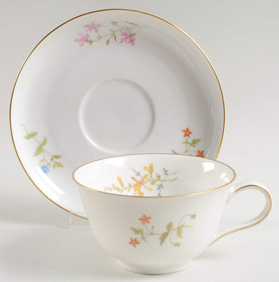 R221 Footed Cup & Saucer Set by Rosenthal - Continental-1
