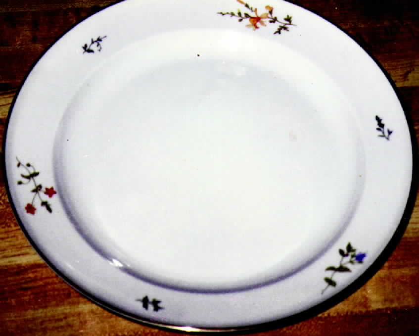 R221 Dinner Plate by Rosenthal - Continental-1