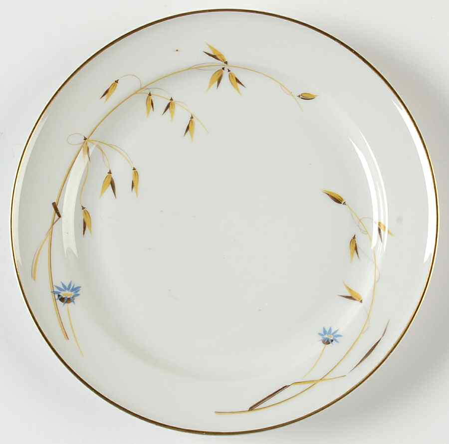 3635 (White, Winifred) Salad Plate by Rosenthal - Continental-1
