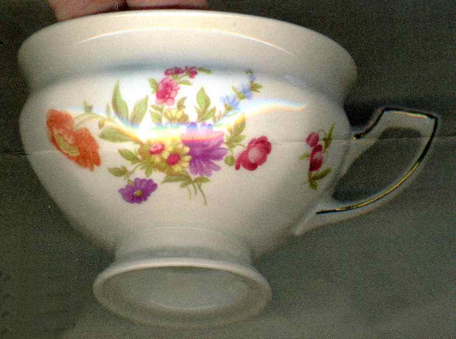 R230 Footed Cup by Rosenthal - Continental-1