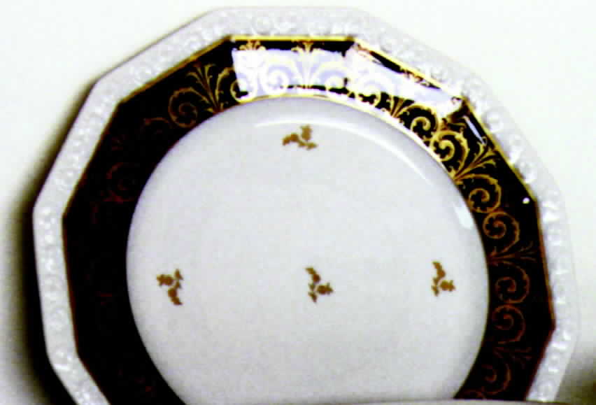 R231 Dinner Plate by Rosenthal - Continental-1