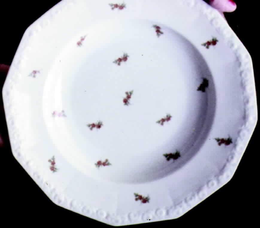 R232 Dinner Plate by Rosenthal - Continental-1