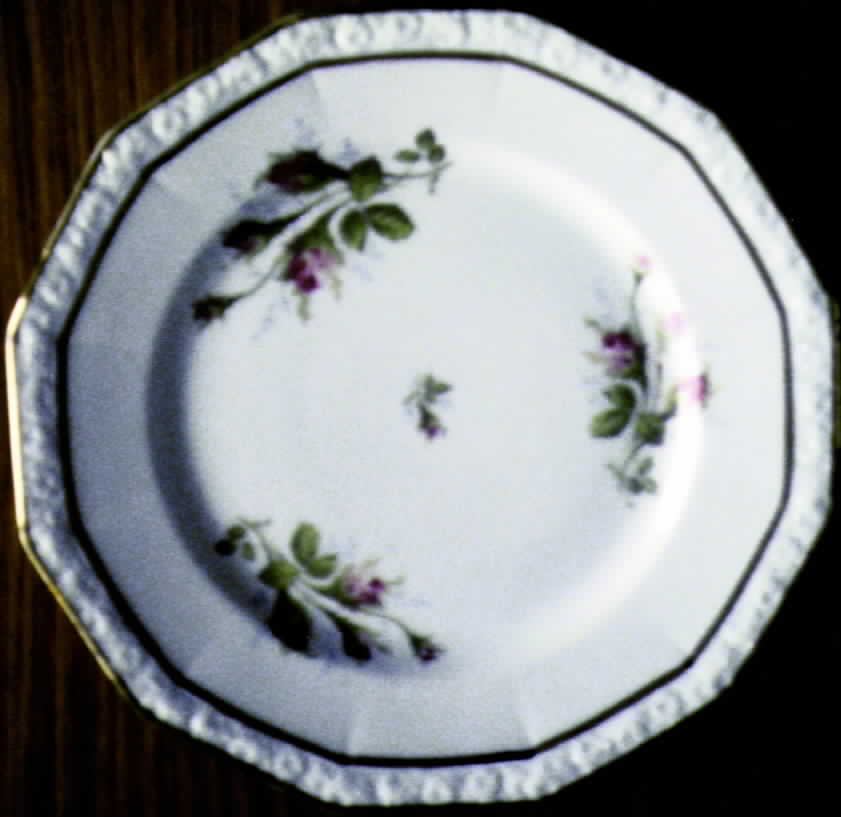 R234 Dinner Plate by Rosenthal - Continental-1