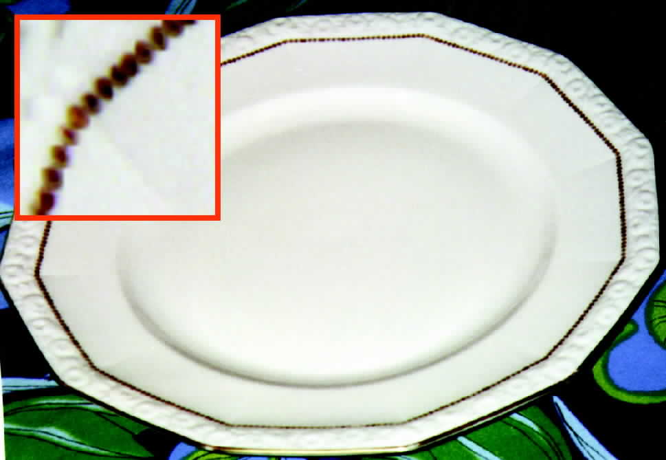 R236 Dinner Plate by Rosenthal - Continental-1