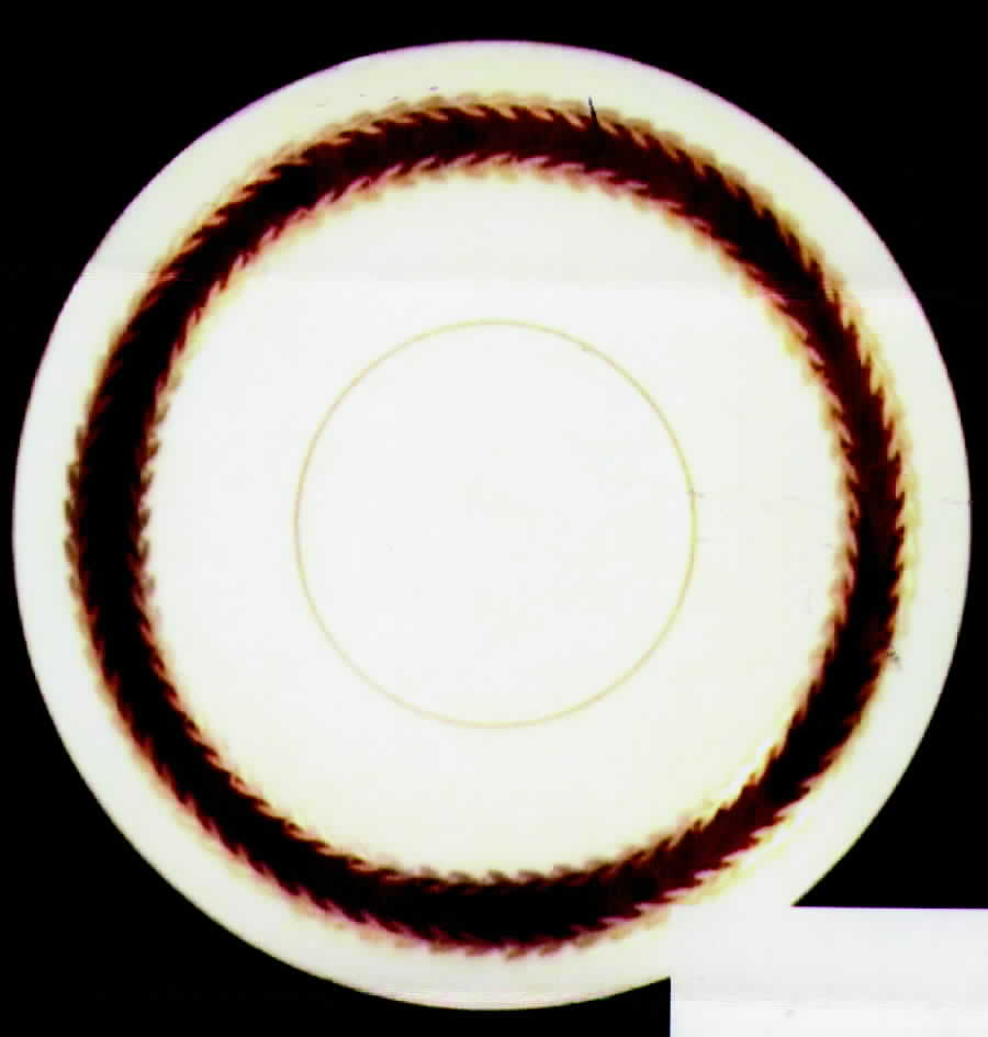 R237 Dinner Plate by Rosenthal - Continental-1