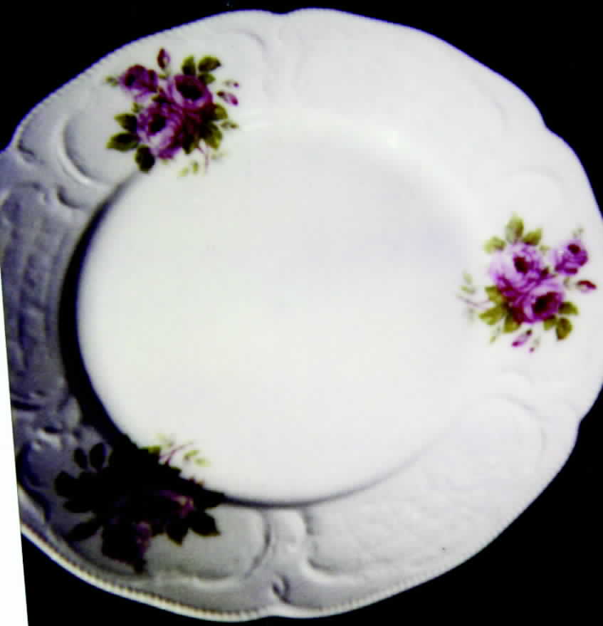 R255 Dinner Plate by Rosenthal - Continental-1