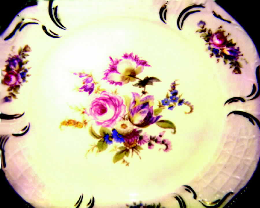 R267 Dinner Plate by Rosenthal - Continental-1