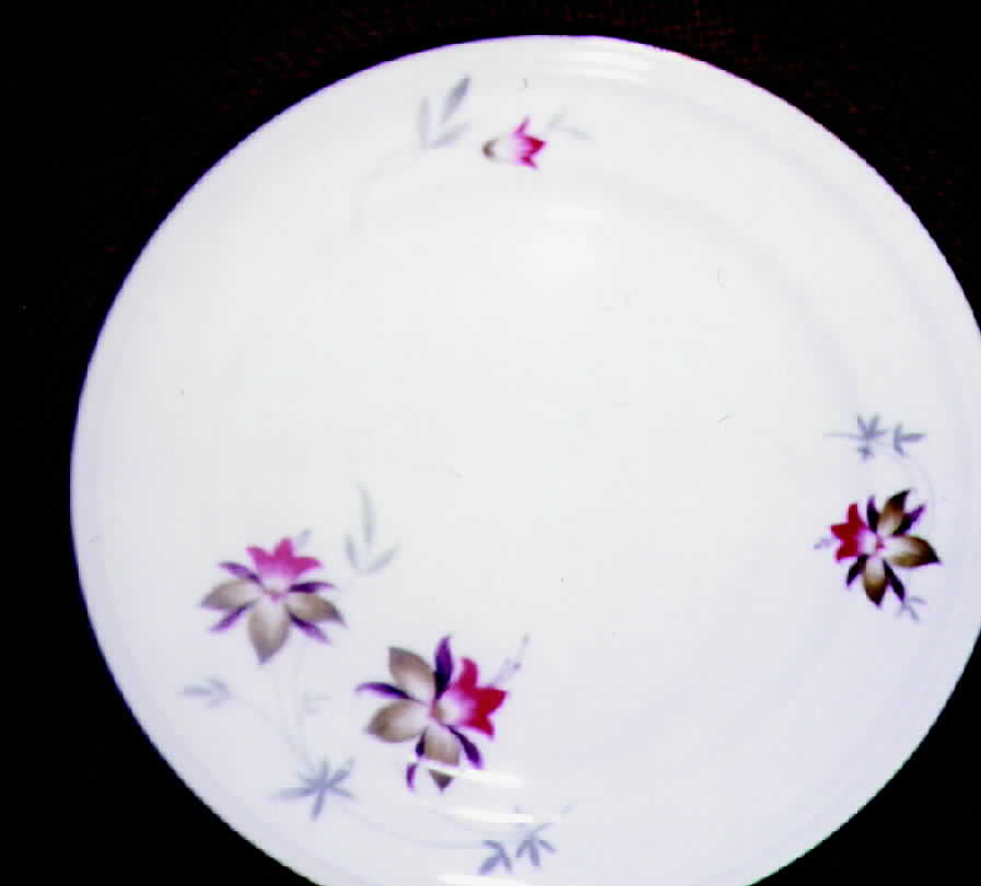R290 Dinner Plate by Rosenthal - Continental-1