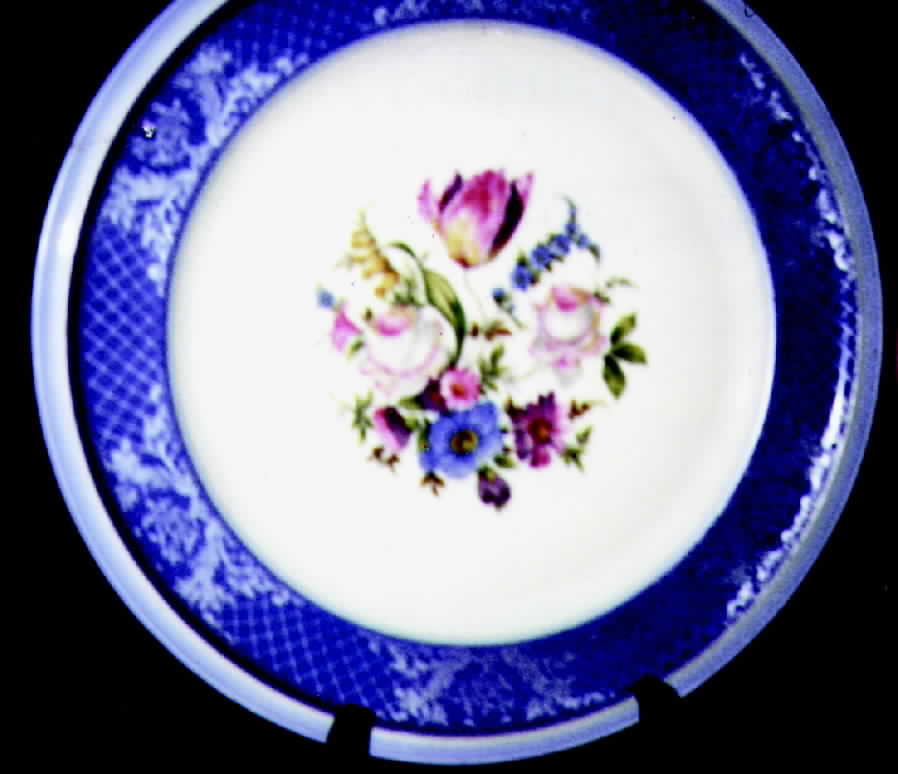 R298 Dinner Plate by Rosenthal - Continental-1