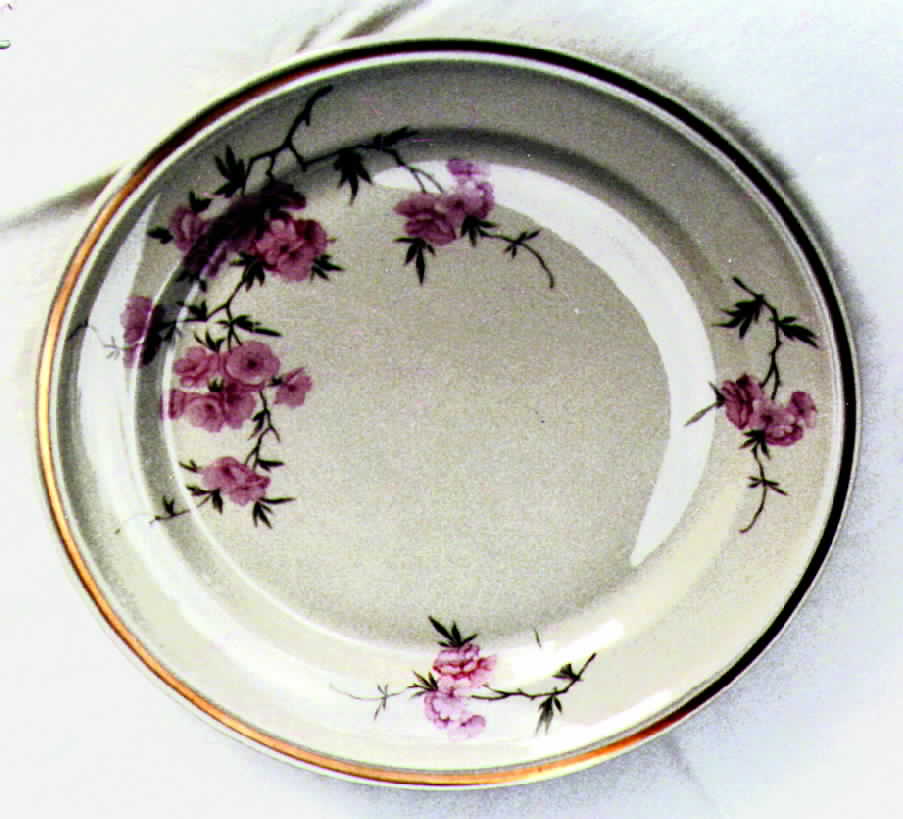 R301 Dinner Plate by Rosenthal - Continental-1