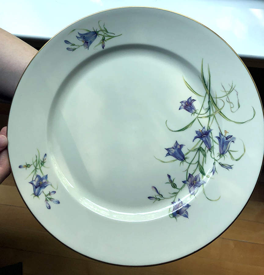 R304 Dinner Plate by Rosenthal - Continental-1