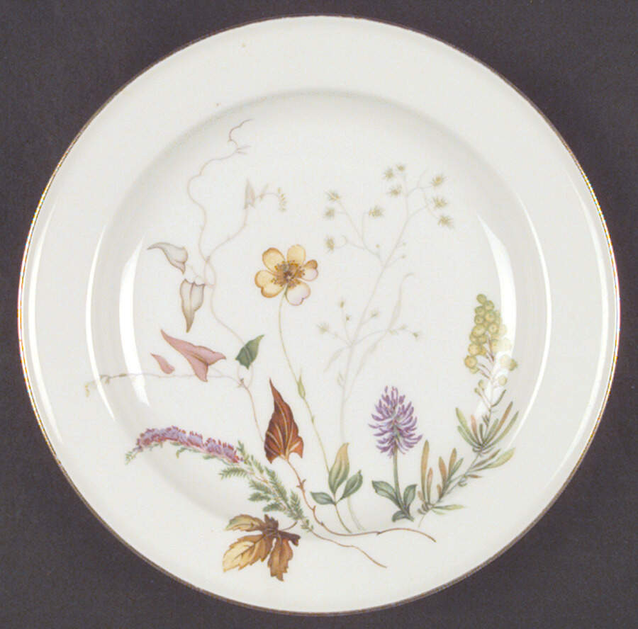 3656 (White) Salad Plate by Rosenthal - Continental-1