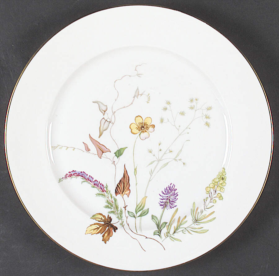 3656 (White) Dinner Plate by Rosenthal - Continental-1