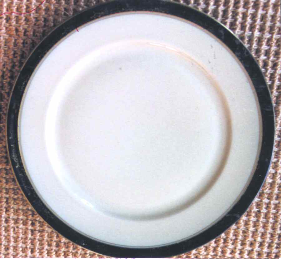 R313 Dinner Plate by Rosenthal - Continental-1