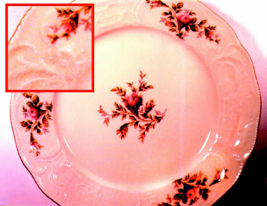 R323 Dinner Plate by Rosenthal - Continental-1