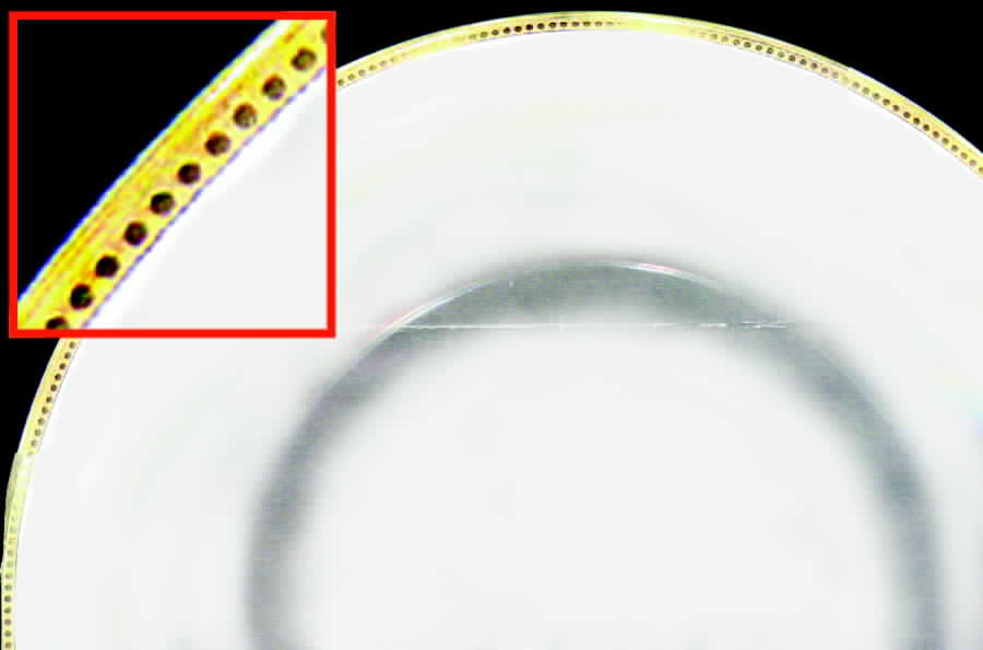 R329 Dinner Plate by Rosenthal - Continental-1