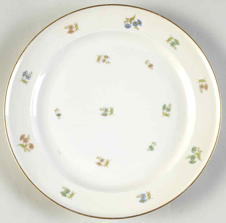 R338 Dinner Plate by Rosenthal - Continental-1