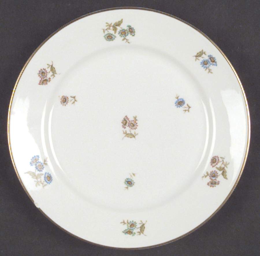 R338 Bread & Butter Plate by Rosenthal - Continental-1