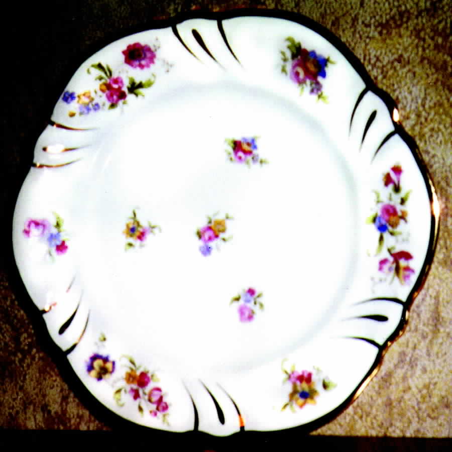 R349 Dinner Plate by Rosenthal - Continental-1
