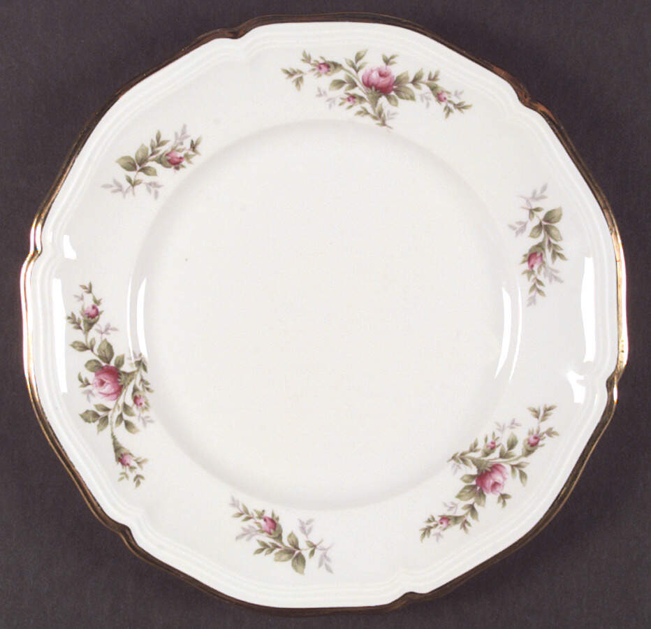R365 Dinner Plate by Rosenthal - Continental-1